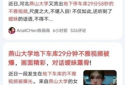 学生视频爆料网站,学生视频爆料网站深度解析